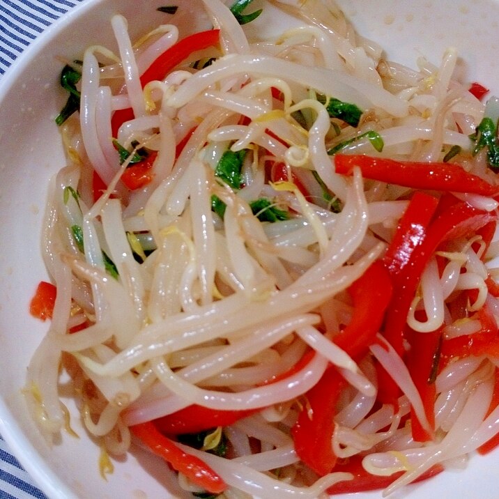 もやしとパプリカと水菜で中華ナムル レシピ 作り方 By Hideok8 楽天レシピ もやしとパプリカと水菜で中華ナムル レシピ 作り方 By Hideok8 楽天レシピ